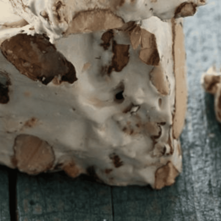 Torroncini artigianali (nougat italien artisanal) mixte